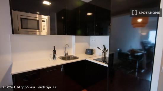 Apartamento entero de 1 habitaciones en Madrid - MADRID