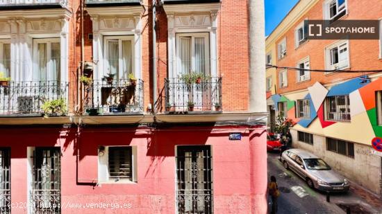 Apartamento de 4 dormitorios en alquiler en madrid. - MADRID