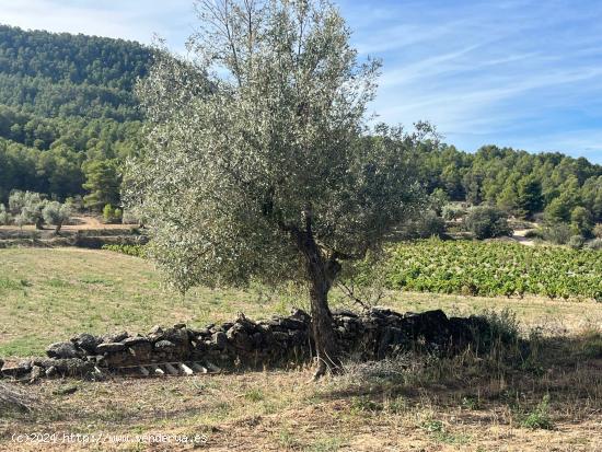 Finca rústica en Valderrobres - TERUEL