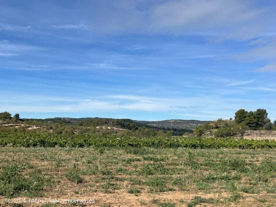 Finca rústica en Valderrobres - TERUEL