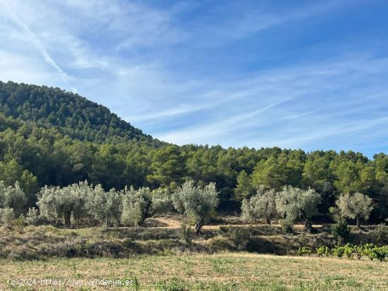 Finca rústica en Valderrobres - TERUEL