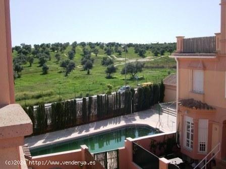  Estupendo Pareado en Olivar de Aljamar - SEVILLA 