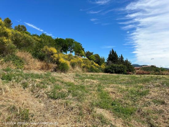  Terreno urbanizable en Añorbe - NAVARRA 