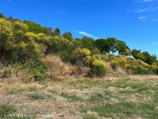 Terreno urbanizable en Añorbe - NAVARRA