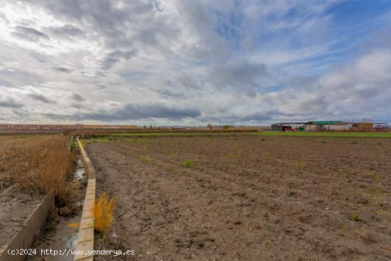 MAGNÍFICA FINCA RÚSTICA EN PURCHIL - GRANADA