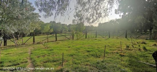 PRECIOSA FINCA RÚSTICA CERCANA AL CASCO DE GALAPAGAR - MADRID