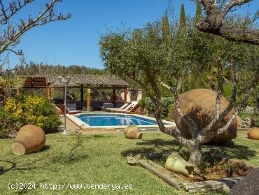 Finca de ensueño con licencia de vacaciones para 10 personas en Sencelles 1 - BALEARES