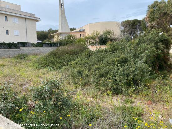 Parcela de 800 m2 en can picafort - BALEARES