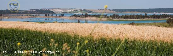 Solar a la venta en Arcos de la Frontera, junto al embalse de Guadalcacin. - CADIZ