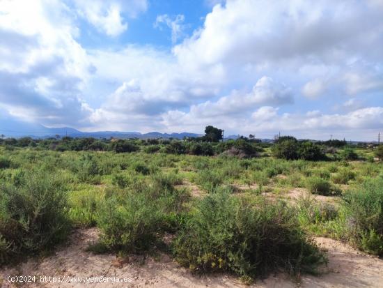 Terreno en Elche, zona Llano de San Jose. - ALICANTE