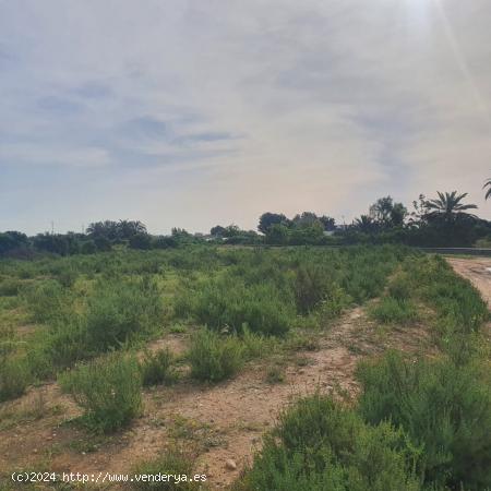 Terreno en Elche, zona Llano de San Jose. - ALICANTE