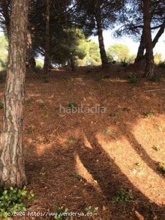 TERRENO EN CANET DE MAR - BARCELONA