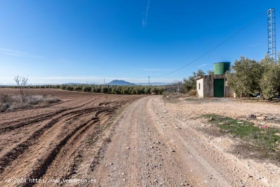 OPORTUNIDAD DE FINCA RUSTICA JUNTO PANTANO DE CUBILLAS - GRANADA