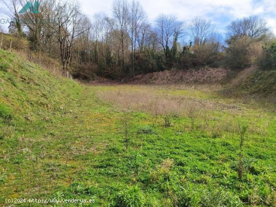 Se vende casa con terreno para reformar en Rasines - CANTABRIA