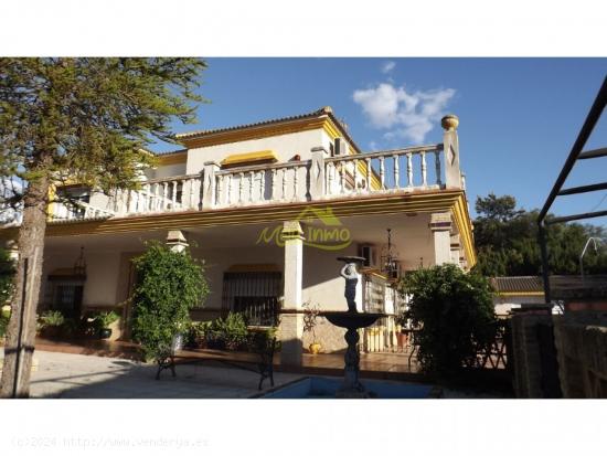 ESPECTACULAR MANSION EN ALJARAQUE - HUELVA