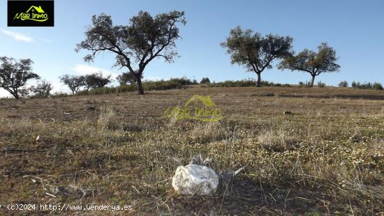 FINCA RUSTICA DE 22 Ha. en La Sierra de Huelva (Almonaster La  Real) - HUELVA