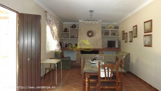 ESTUPENDA FINCA CON CASA EN CARTAYA - HUELVA