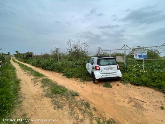 FINCA RÚSTICA DE FRUTALES SECANOS - SEVILLA