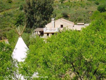 Autentico Cortijo de 150 años reformado y ahora un exitoso centro de retiro - MALAGA