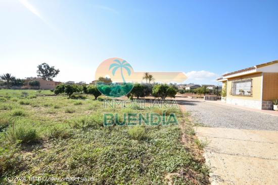 SOLAR EDIFICABLE EN MUY BUENA ZONA, CERCA DE COLEGIO Y CENTRO DE SALUD. - MURCIA