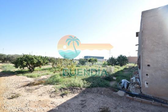 SOLAR EDIFICABLE EN MUY BUENA ZONA, CERCA DE COLEGIO Y CENTRO DE SALUD. - MURCIA