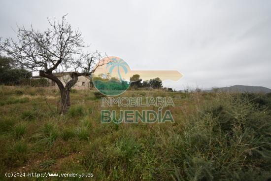 TRES TERRENOS, UNO CON CASA DERRUIDA, ACCESIBLES A LUZ Y AGUA Y CON DERECHO A POZO. - MURCIA