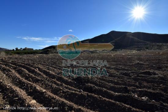 Terreno Rústico en Lorca zona Morata - MURCIA