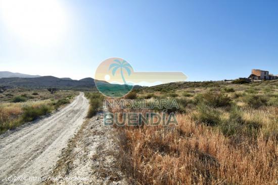 TERRENO RÚSTICO EN VENTA ZONA GAÑUELAS - MURCIA