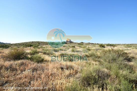 TERRENO RÚSTICO EN VENTA ZONA GAÑUELAS - MURCIA