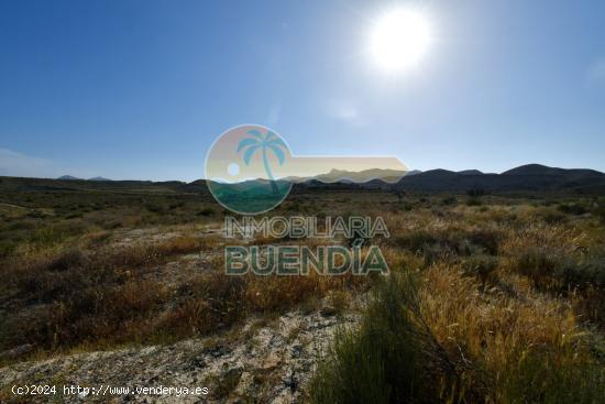 TERRENO RÚSTICO EN VENTA ZONA GAÑUELAS - MURCIA