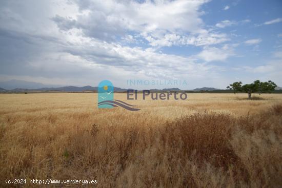  TERRENO RÚSTICO EDIFICABLE en venta - MURCIA 