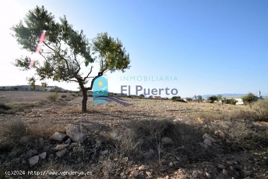  TERRENO en venta  - MURCIA 