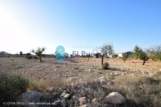 TERRENO en venta  - MURCIA