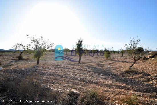 TERRENO en venta  - MURCIA