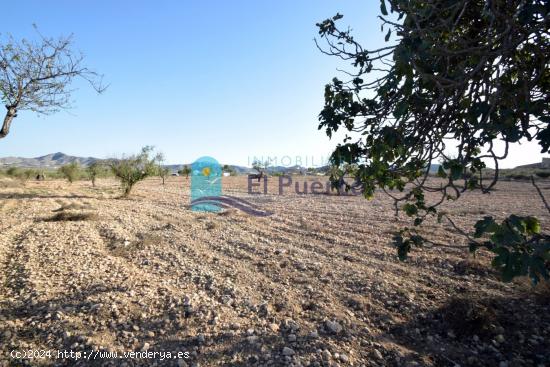 TERRENO en venta  - MURCIA