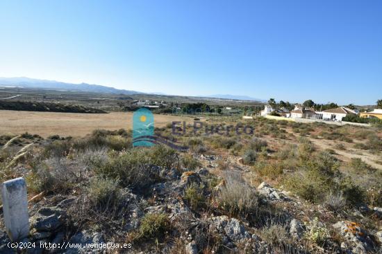 SOLAR EDIFICABLE CON PROYECTO DE 4.215M2 EN MAZARRON COUNTRY CLUB. REF. 2126 - MURCIA