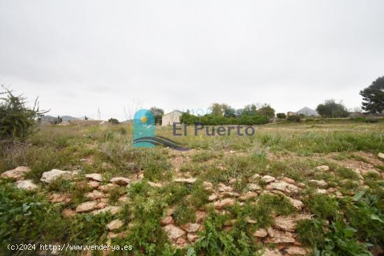 TRES TERRENOS ACCESIBLES A LUZ Y AGUA Y CON DERECHO A POZO. REF 2170 - MURCIA