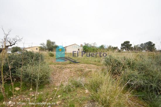 TRES TERRENOS ACCESIBLES A LUZ Y AGUA Y CON DERECHO A POZO. REF 2170 - MURCIA