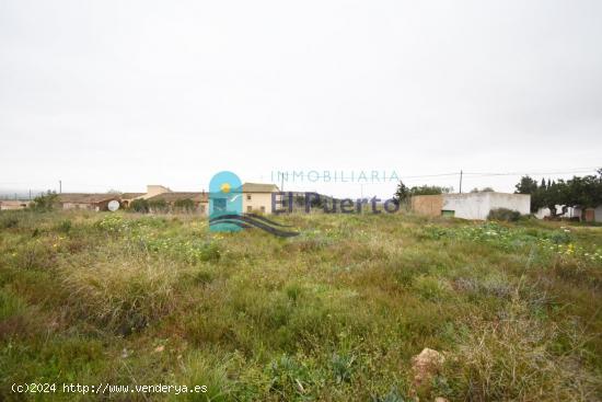 TRES TERRENOS ACCESIBLES A LUZ Y AGUA Y CON DERECHO A POZO. REF 2170 - MURCIA