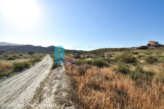 TERRENO RÚSTICO  CON CASA (RUINA) EN VENTA ZONA GAÑUELAS - MURCIA