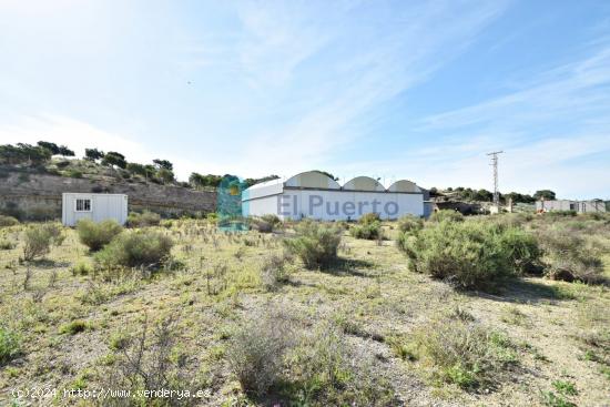  NAVE INDUSTRIAL CON TERRENO DE 11.000m2 APROX. EN MAZARRÓN - MURCIA 