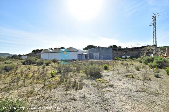 NAVE INDUSTRIAL CON TERRENO DE 11.000m2 APROX. EN MAZARRÓN - MURCIA