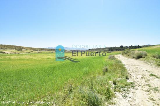 TERRENO DE 20.000 METROS EN LA MAJADA - MURCIA