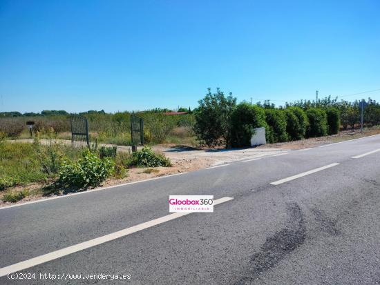 Se Vende Finca en término de Riudoms ( Baix Camp ) a ocho minutos de Reus y Cambrils - TARRAGONA