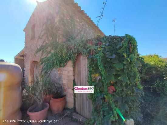 Se Vende Finca en término de Riudoms ( Baix Camp ) a ocho minutos de Reus y Cambrils - TARRAGONA