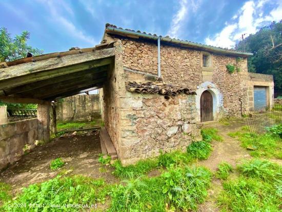  Finca rústica con caseta y 6000m2 para tus proyectos de campo - BALEARES 