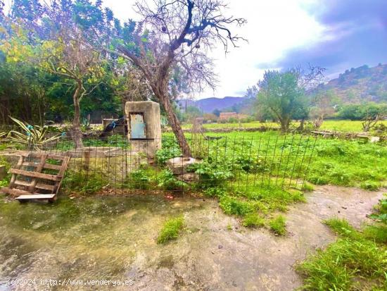 Finca rústica con caseta y 6000m2 para tus proyectos de campo - BALEARES