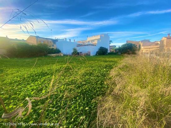 Terreno extenso en Santa Margalida, oportunidad única - BALEARES