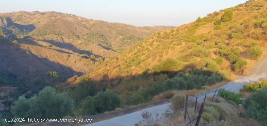 Finca Rústica en Yunquera - MALAGA