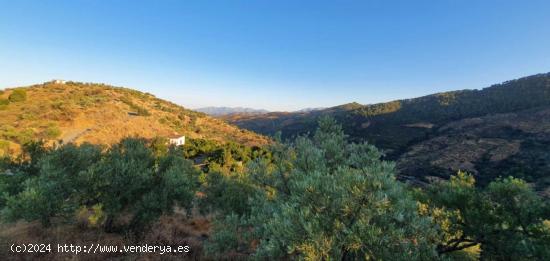 Finca Rústica regadío en Yunquera - MALAGA